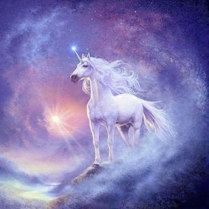 Meet your Posher, Sandee